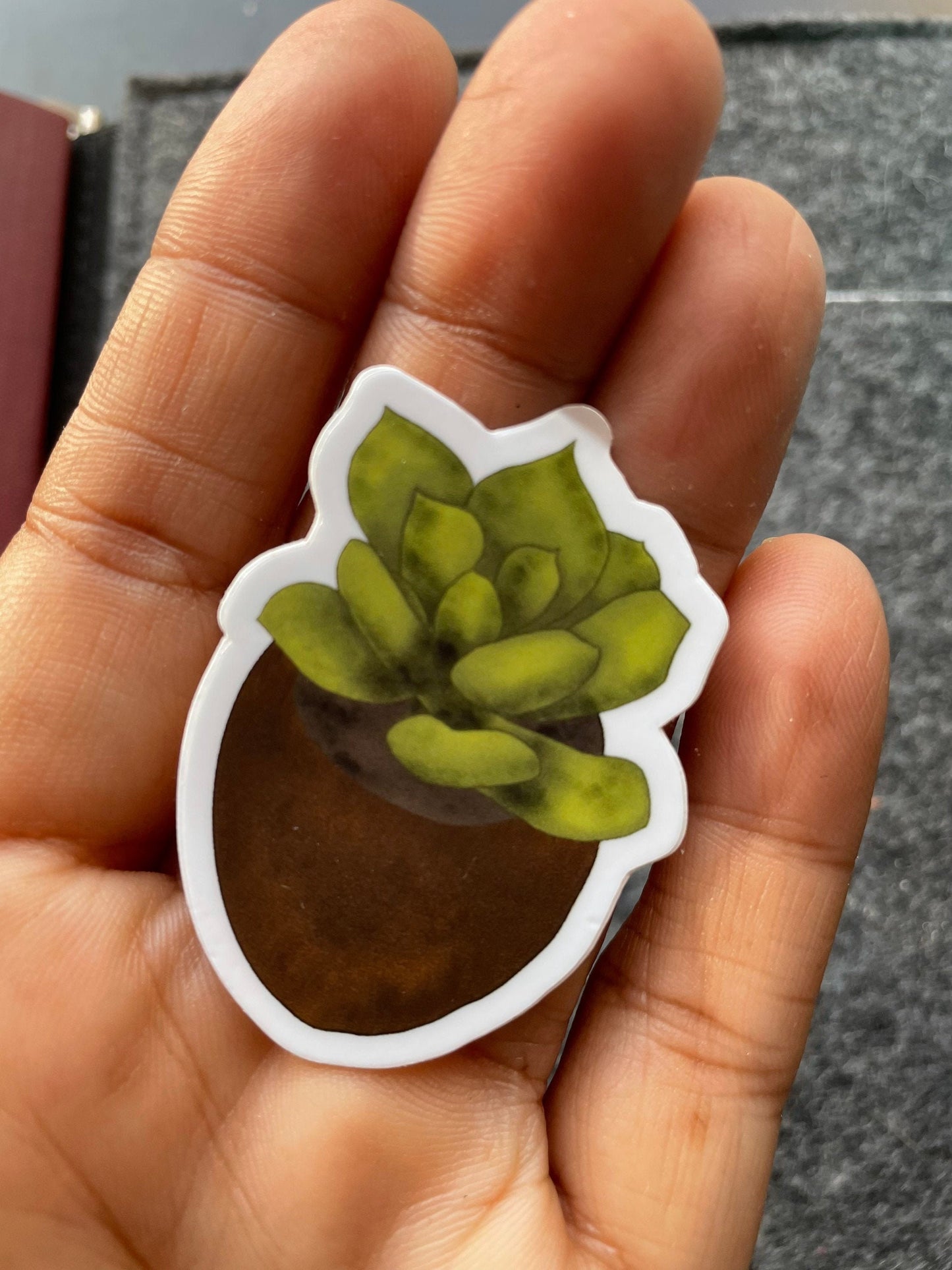 Succulent Vinyl Sticker