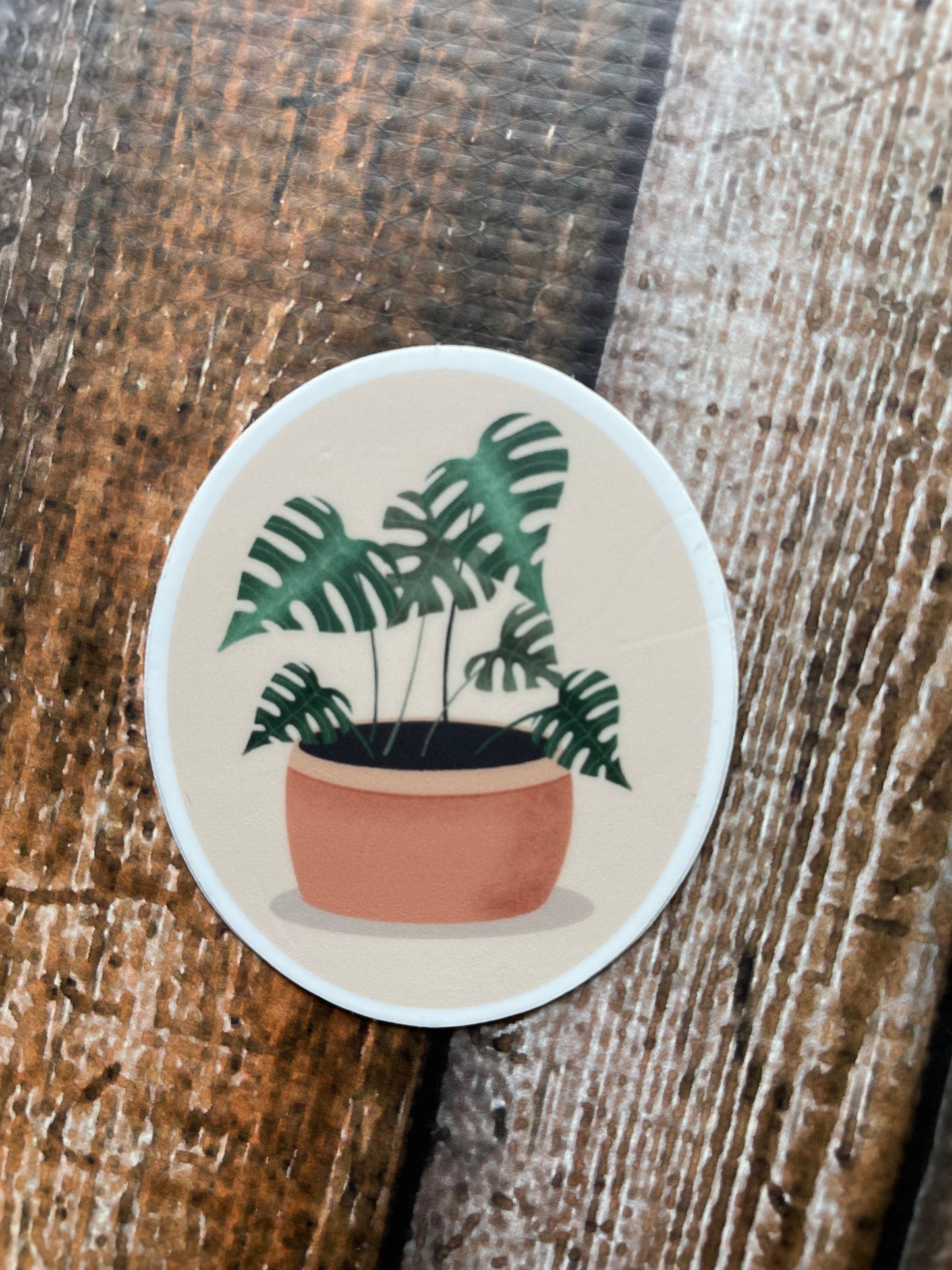 Monstera Plant Vinyl Sticker