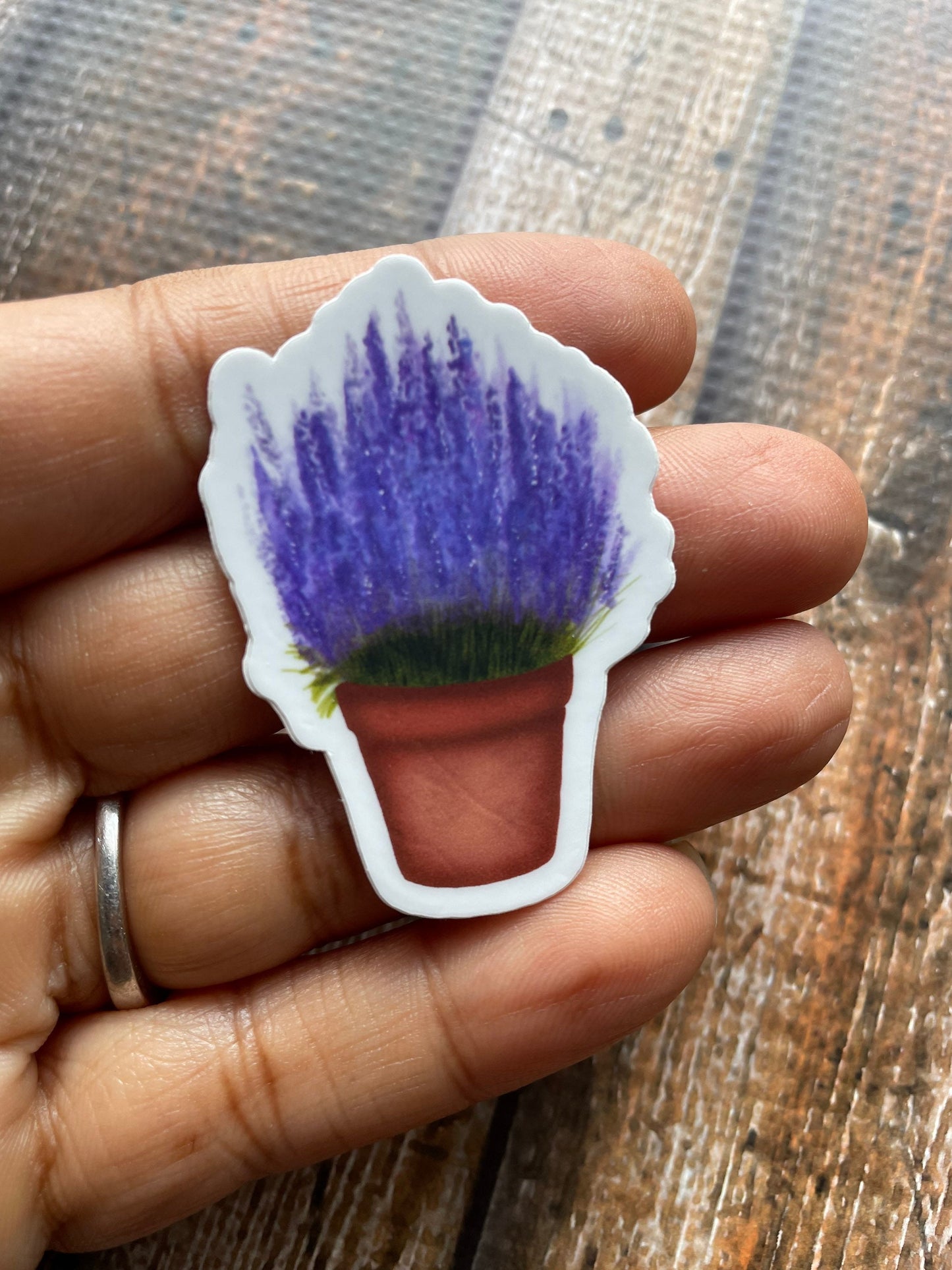 Lavender Plant Vinyl Sticker