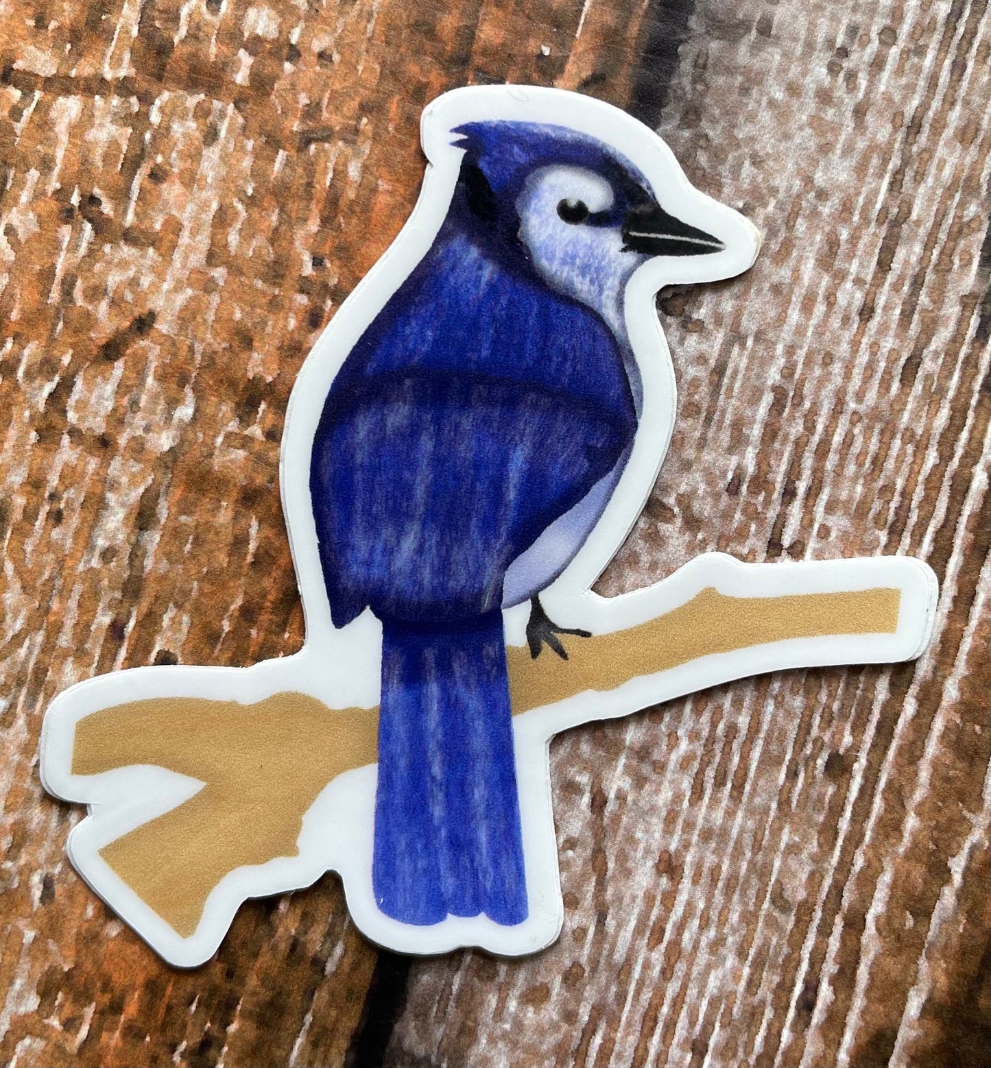 Blue Jay vinyl sticker