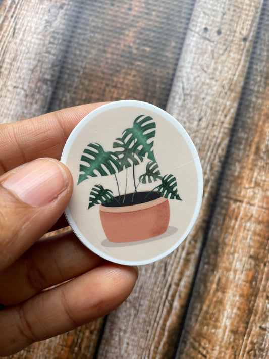 Monstera Plant Vinyl Sticker