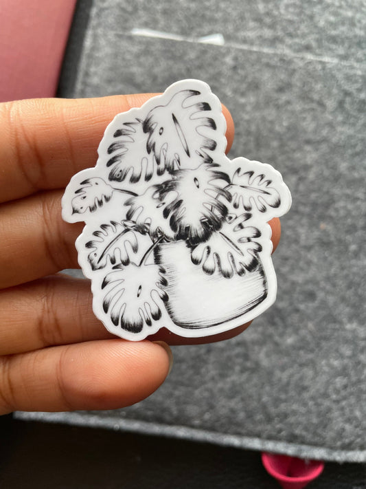 Monstera plant lined Vinyl Sticker
