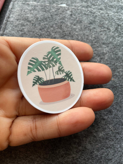 Monstera Plant Vinyl Sticker