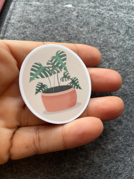 Monstera Plant Vinyl Sticker