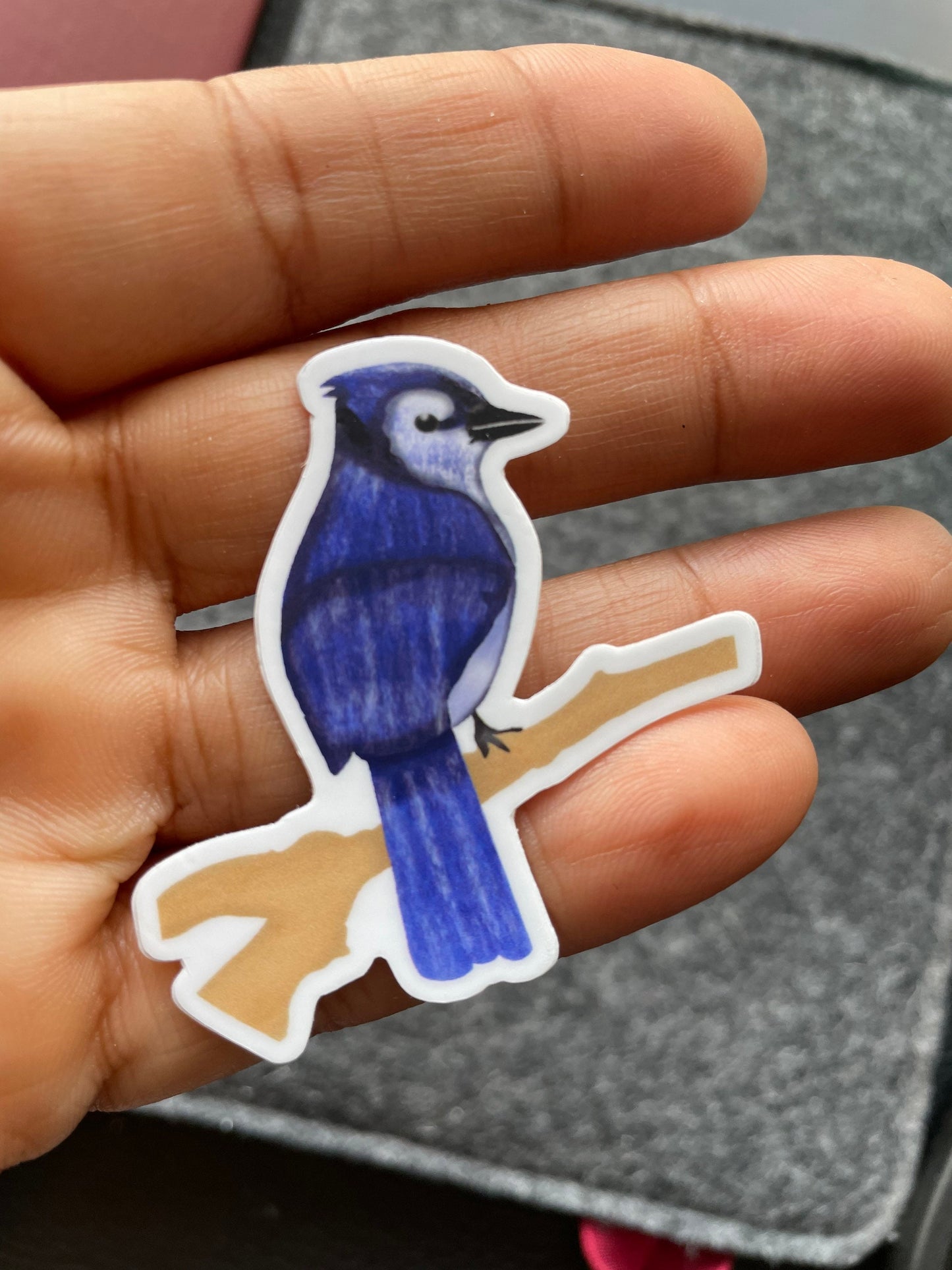 Blue Jay vinyl sticker