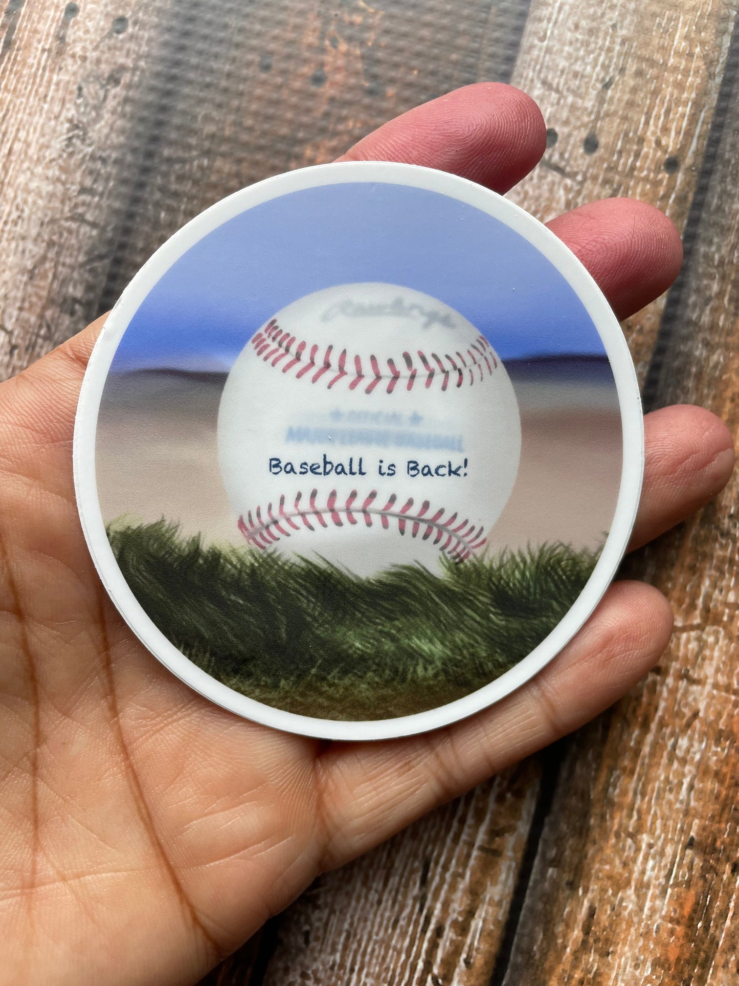 Baseball is Back Vinyl Sticker (large)