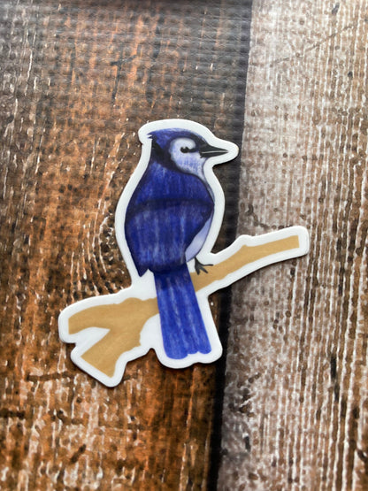 Blue Jay vinyl sticker