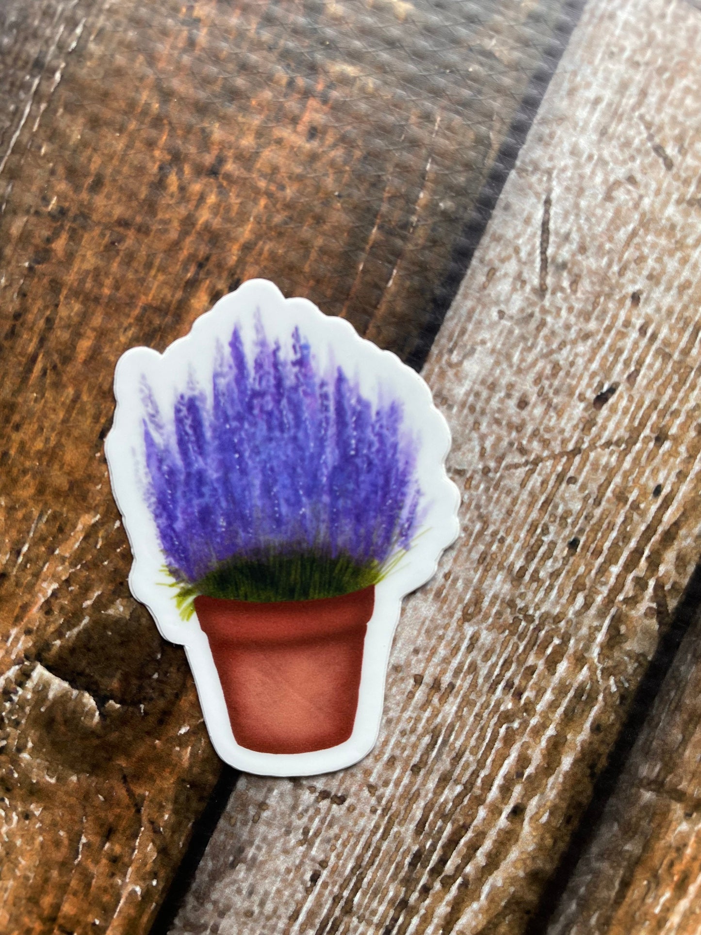 Lavender Plant Vinyl Sticker
